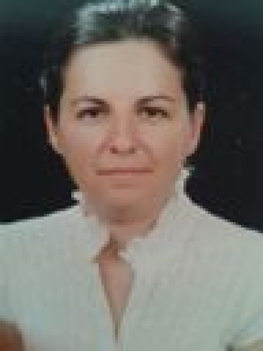 resim968301