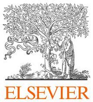 Elsevier e-Books