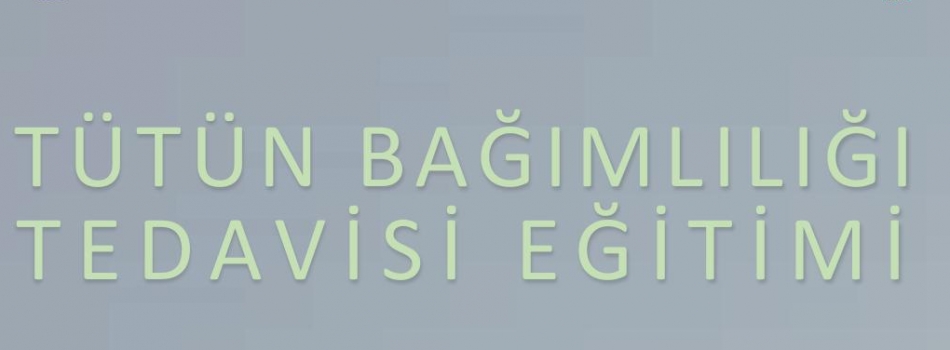 Tütün Bağımlılığı Tedavisi Eğitimi Gerçekleştirildi