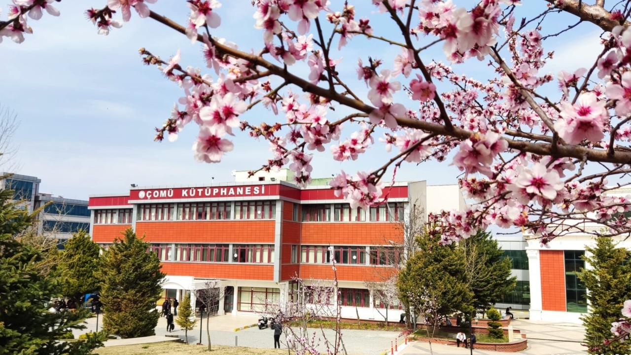 Foto5