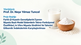 TÜBİTAK ARDEB 1002-A Hızlı Destek Modülü Kapsamında Desteklenme Başarısı