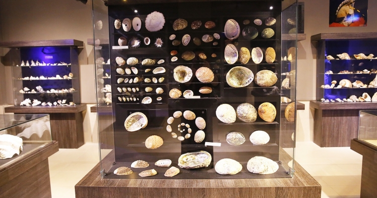Admiral Piri Reis Marine Museum