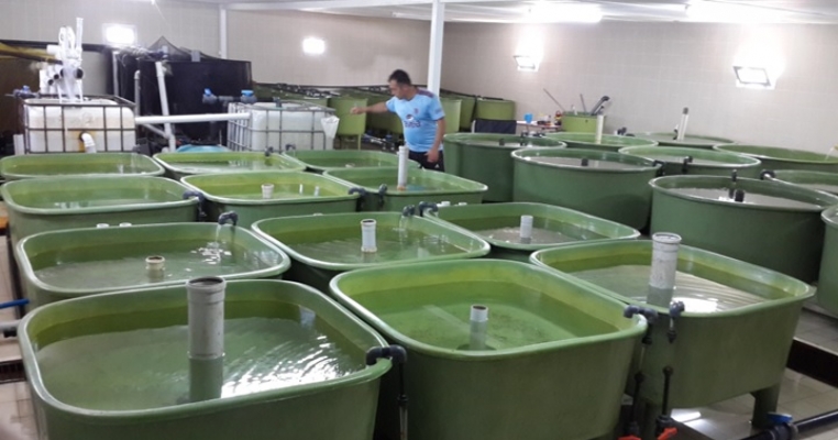 Wetlabs Unit
