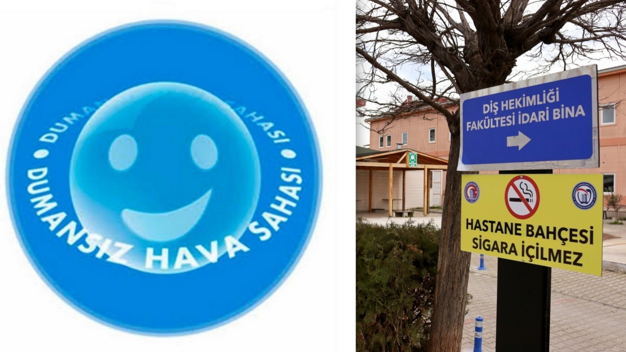 Regulatory Efforts Were Carried Out Within the Scope of the “Smoke-Free Campus” Initiative