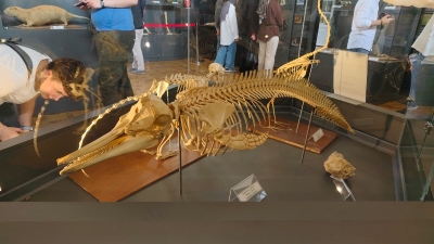 Foto Galeri 9