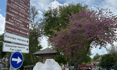 Foto Galeri 8