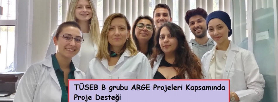 TÜSEB B grubu ARGE Projeleri Kapsamında Proje Desteği