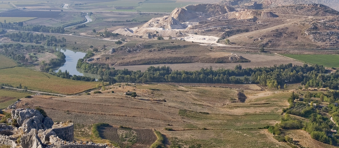 Prof. Dr. Ekin Kozal, Humboldt Bursunu Almaya Hak Kazandı