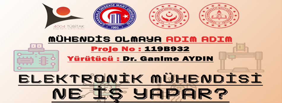Elektronik Mühendisliği