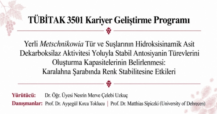 Tübitak 3501 Proje başarısı