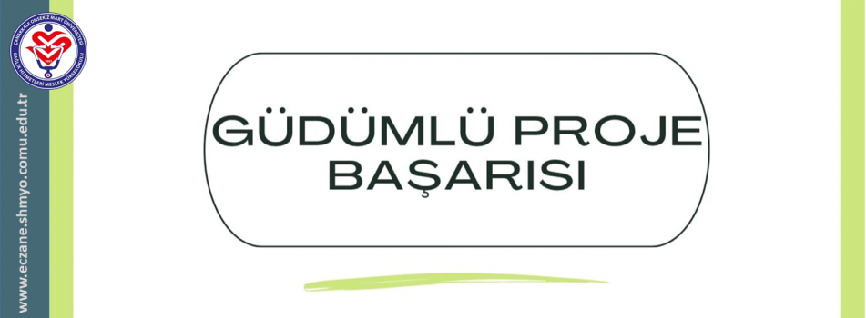 Güdümlü Proje Başarısı