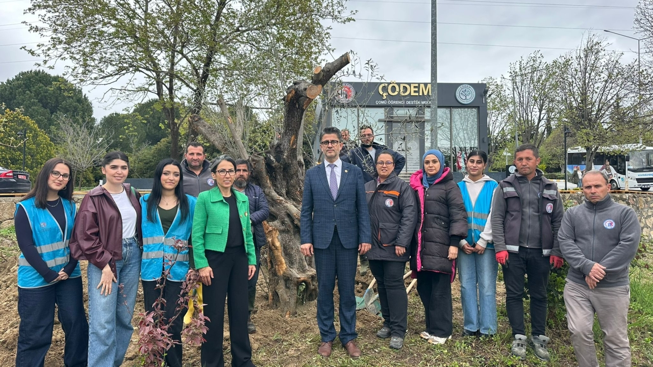 Kökleri geçmişten, dalları geleceğe