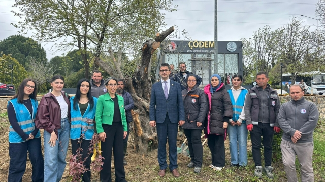 Kökleri geçmişten, dalları geleceğe