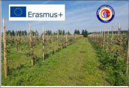 Ziraat Fakültesi Dekanı Prof. Dr. Murat Şeker Erasmus+ Akademik Personel Hareketliliği Kapsamında Wroclaw  Üniversitesine Ziyarette Bulundu