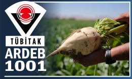 TÜBİTAK ARDEB 1001 Destek Programı