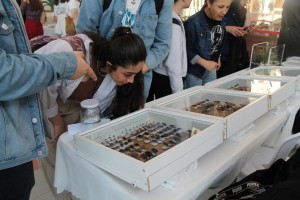 Çanakkale’de Biyoçeşitlilik Paneli ve Sergisi Gerçekleşti fotoğraf 7