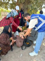 Şiddetsiz Yarınlara Projesi Çanakkale’de Uygulanmaya Devam Ediyor fotoğraf 5
