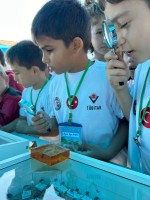 TÜBİTAK 4009 “Bilimle Keşif Yolculuğuna Adım Adım”  Projesi Gerçekleştirildi fotoğraf 26