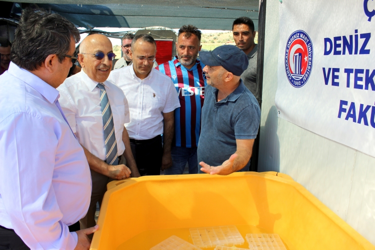 300 Istakoz Yavrusu Çanakkale Boğazına Bırakıldı